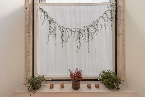 Casa D?oliven�a