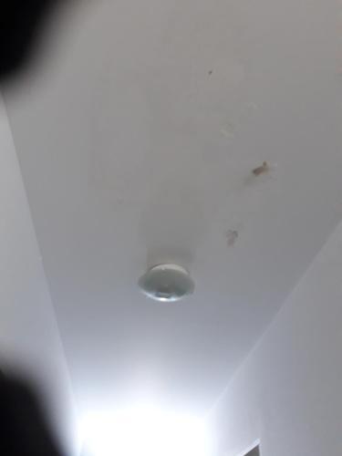 Apartamento Amplio Dto Nuevo Con Pileta.