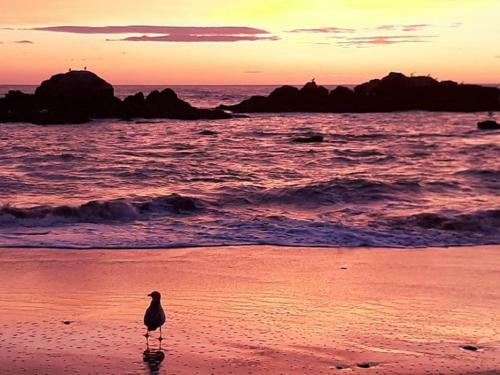 Beach House - Between Porto And Viana Do Castelo