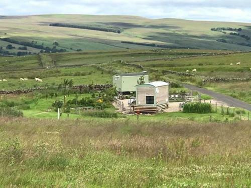 Lizzie Off Grid Shepherds Hut The Buteland Stop