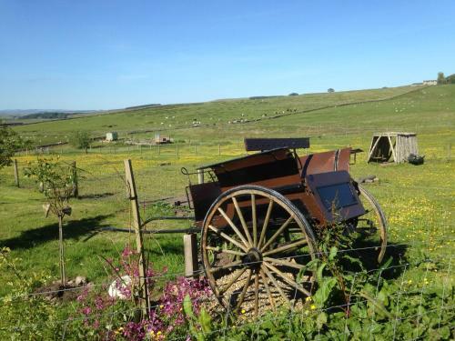 Lizzie Off Grid Shepherds Hut The Buteland Stop