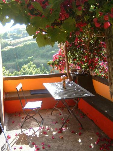 Madeira-meerblick-haus