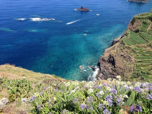 Madeira Wine Cottages