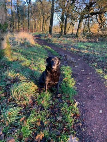 The Ploughman's Poet