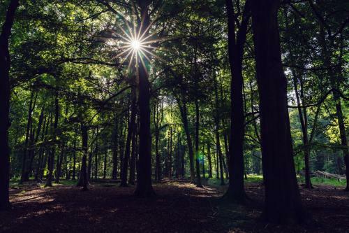 Agroturismo Ashridge House