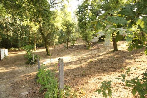 Agroturismo Quinta D'areda Wine&pool Experience