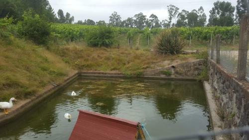 Agroturismo Quinta D'areda Wine&pool Experience