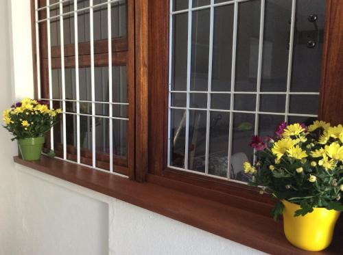 Apartamento Casa Gon�alves