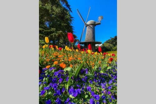 Apartamento Golden Gate Park 2 Bedrooms Home