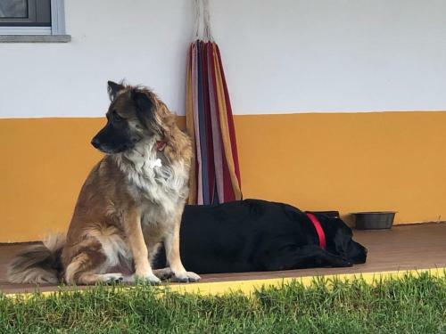 Agroturismo Monte Quinta Verde