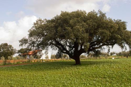 Agroturismo Monte Quinta Verde