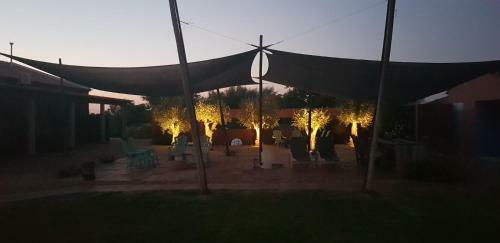 Trendy And Luxe Bed & Breakfast