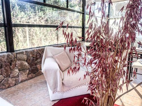 Apartamento Atenea 2