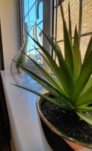 Hostal Bicester Serviced Accommodation - Oxfordshire