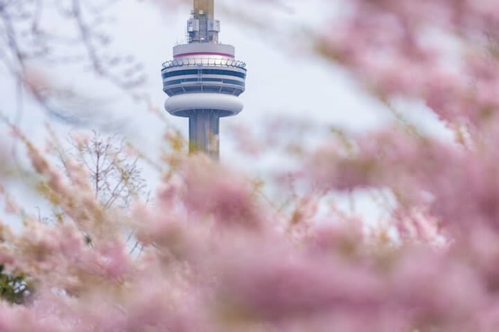 Hotel Park Hyatt Toronto