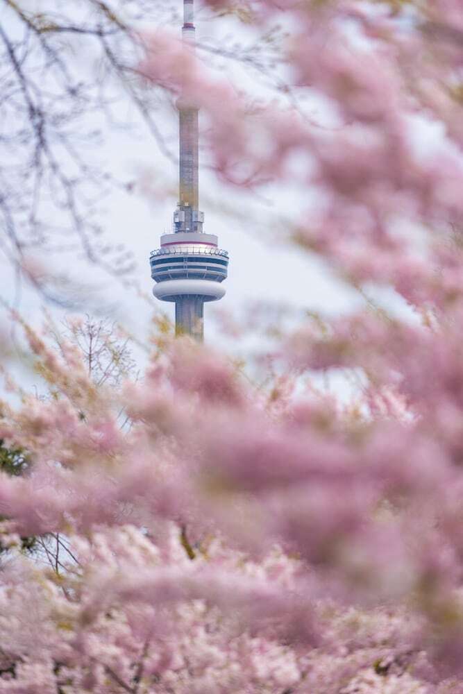 Hotel Park Hyatt Toronto