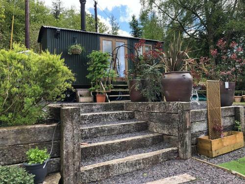 Betws View, Shepherd Hut