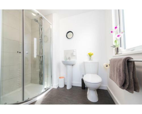 Central Belfast Apartments Sandford