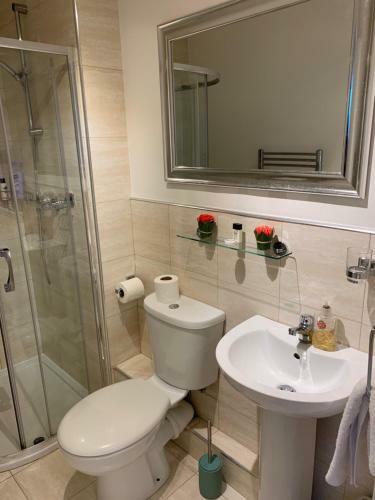 4 Bed Duplex Apartment, Belfast