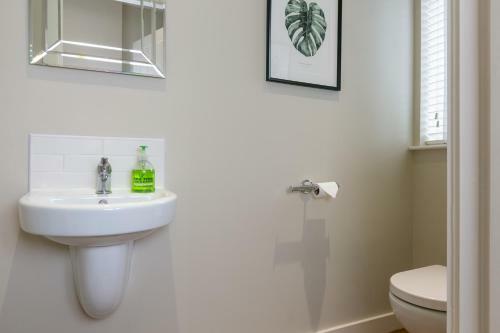 The Perfect Stay Belfast