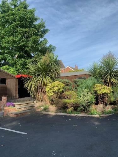 Ashfield Bed & Breakfast