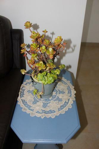 Casinha Da Andorinha - Ericeira