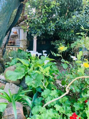 Hostal Fatima Belavista & Pool