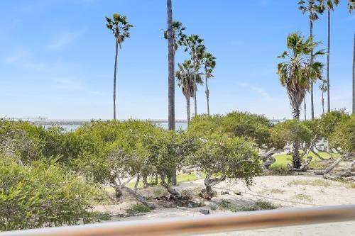 Soft Sands & Ocean Views