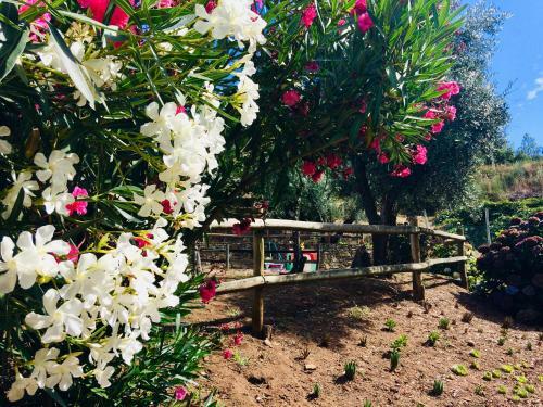 Agroturismo Casa Do Ouri�o