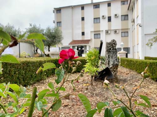 Hotel Mateus