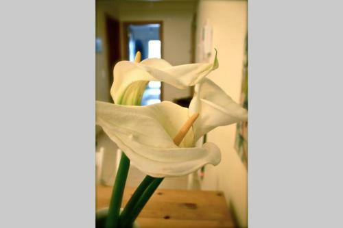 Apartamento Casinha Do Surf, Baleal