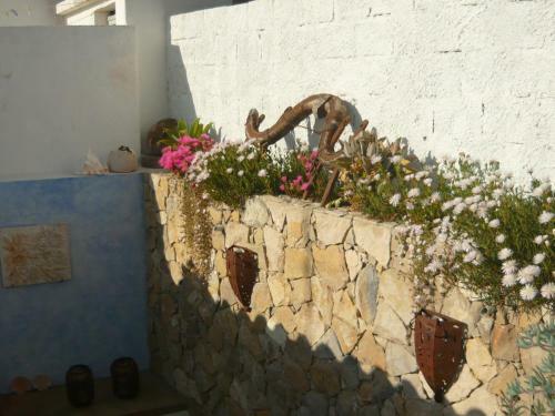 Casa Do Gato