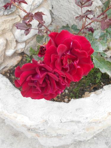 Bed & Breakfast Le Mas Des Baux