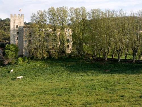 Apartamento Ch�teau D'esparron