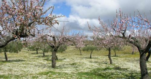 Moradias Douro Internacional