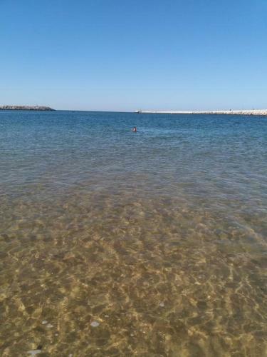 Apartamento Praia Do Rel�gio