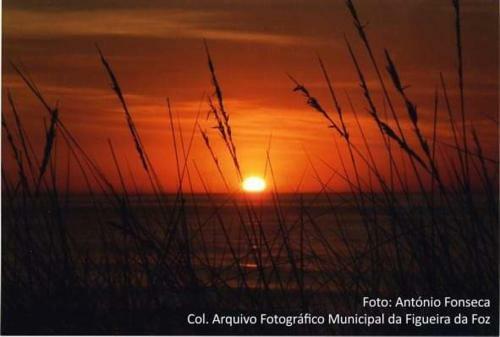 Apartamento Figueira House