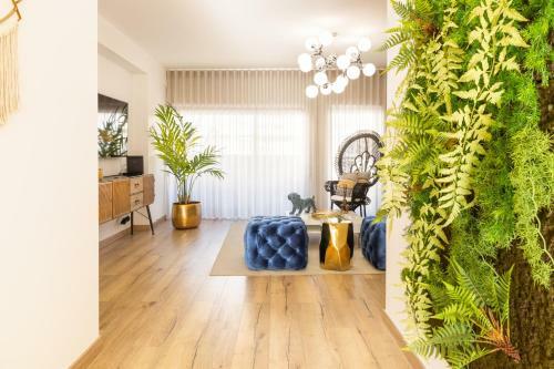 Barra Apartament Design
