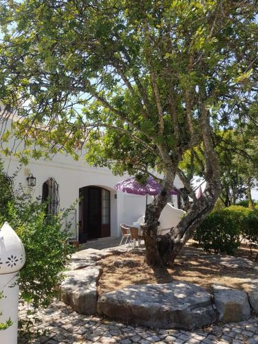 Apartamento Monte-bougainvillea