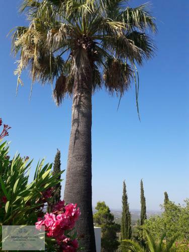 Apartamento Monte-bougainvillea