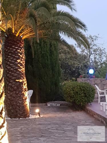 Apartamento Monte-bougainvillea