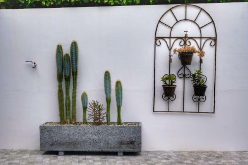 Apartamento Casa Pacheco