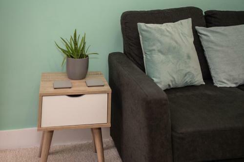 Beautiful, Contemporary 3 Bedroom Apartment