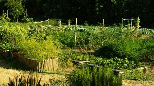 Quinta Madeira - Country Cottage