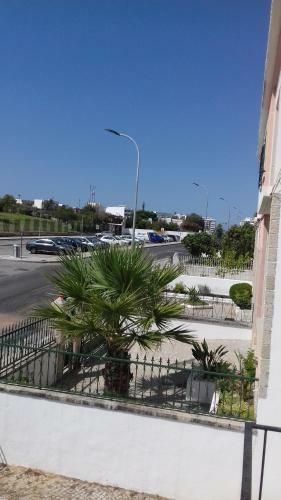 Apartamento Palmeira