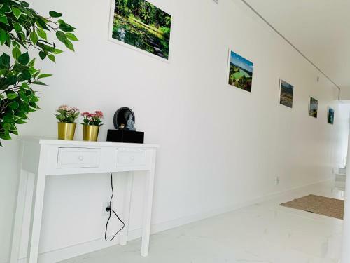 Agroturismo Furnas Spring Lodge