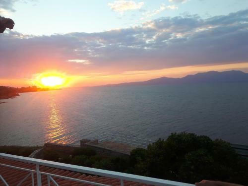 Epipleon Suites