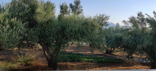 Villa Deltus - Cozy Holiday Home In South Crete