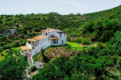 Villa Von Sophia / The House