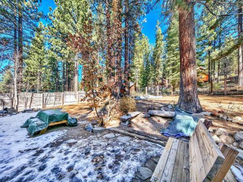 2556h Lazy Bear's Den Cottage
